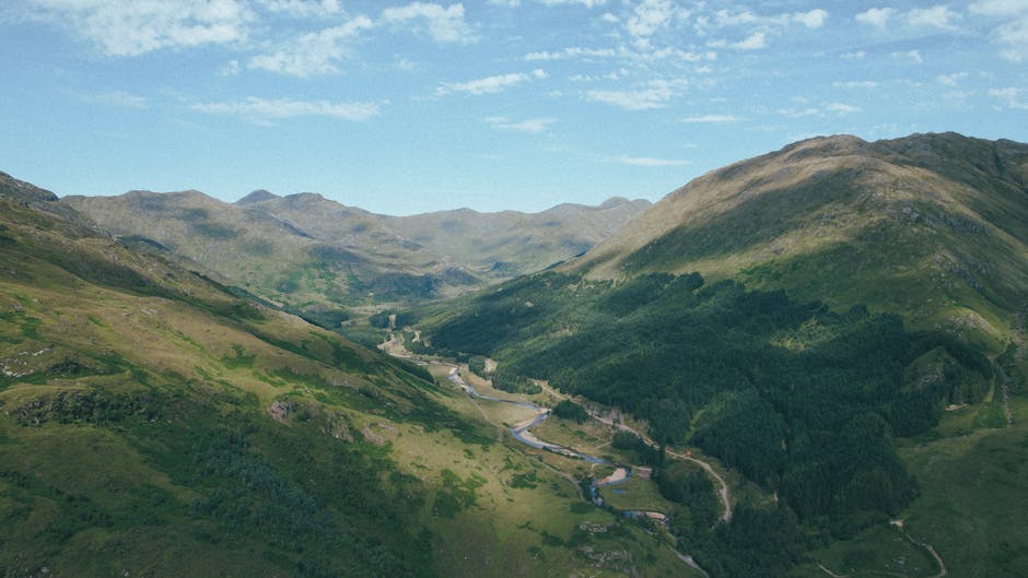 Understanding Scottish Highland Estate Management